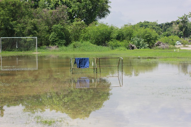 球俱乐部 球俱乐部