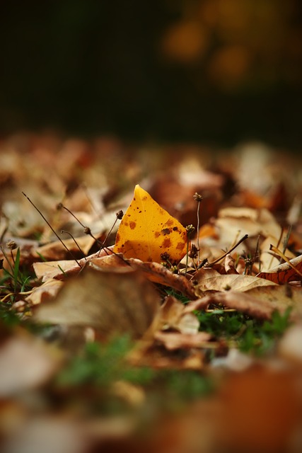 但较此前有 但较此前有
