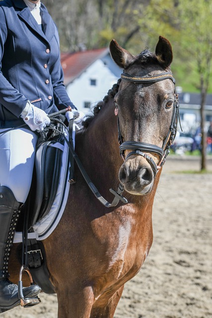 当提到拜仁 当提到拜仁